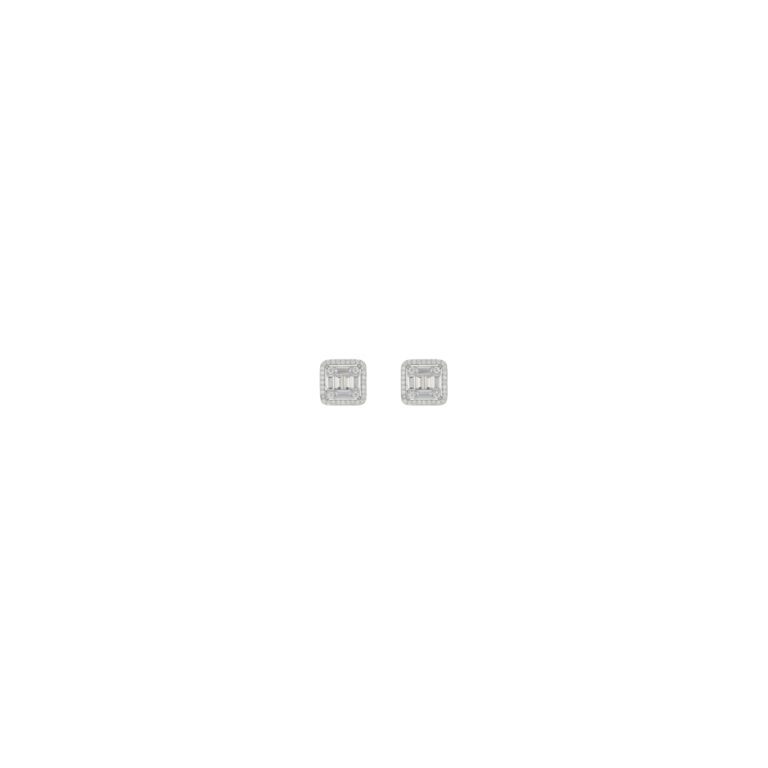 24995306